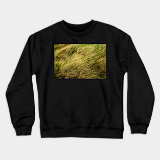 Dune Grass Crewneck Sweatshirt